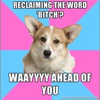 Critical Feminist Corgi
