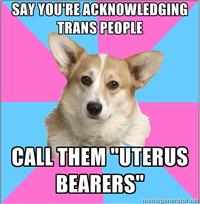 Critical Feminist Corgi