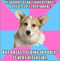 Critical Feminist Corgi
