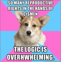 Critical Feminist Corgi