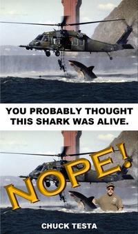 Nope! Chuck Testa