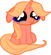Pony Reactions