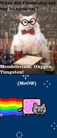 Chemistry Cat