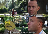 Chocolate!