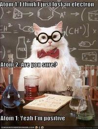 Chemistry Cat