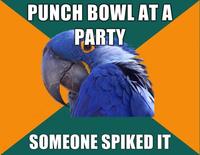 Paranoid Parrot