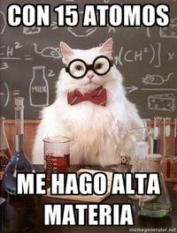 Alto guiso