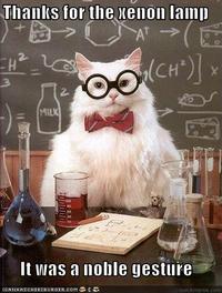 Chemistry Cat