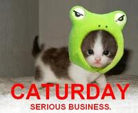 Caturday