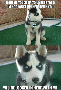 Insanity Puppy