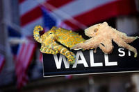 Occupy Wall Street