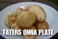Haters Gonna Hate