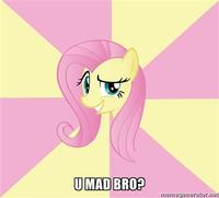 Flutterrage / Flutterbitch