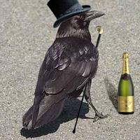 Rich Raven
