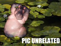 Picture Unrelated