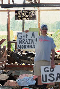 Get A Brain Morans