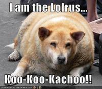 Lolrus