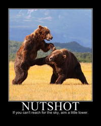 Demotivational Posters