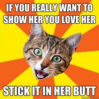 Bad Advice Cat