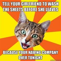 Bad Advice Cat
