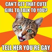 Bad Advice Cat