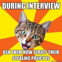 Bad Advice Cat
