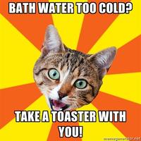 Bad Advice Cat
