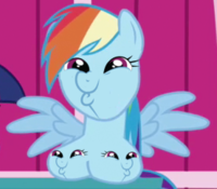 Pony Reactions