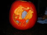 DSCN0399.jpg