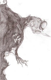 The Rake