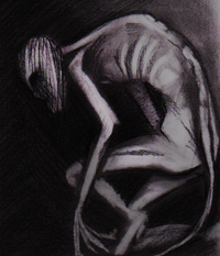 The Rake
