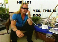 Yes, This is Dog