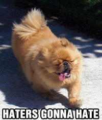 Haters Gonna Hate