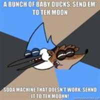 Advice Animals