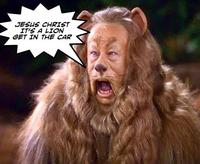 Jesus Christ It's a Lion Get In The Car!