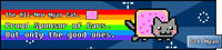 Nyan Cat / Pop Tart Cat