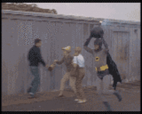 Some Days, You Just Can't Get Rid of a Bomb!
