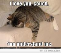 LOLcats