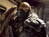 Dom's Beard