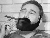 Dom's Beard
