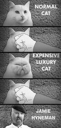 LOLcats