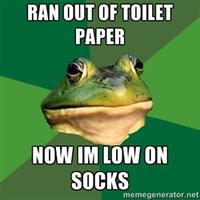 Foul Bachelor Frog