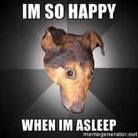 Depression Dog
