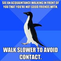 Socially Awkward Penguin