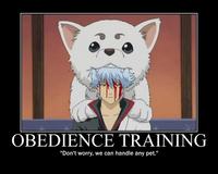Demotivational Posters