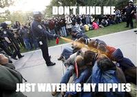 Casually Pepper Spray Everything Cop