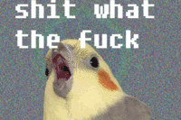Oh God How Did This Get Here I Am Not Good With Computer