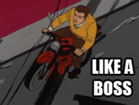 bikelikeaboss.gif