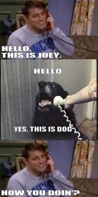 Yes, This is Dog