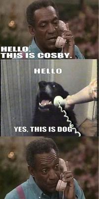 Yes, This is Dog